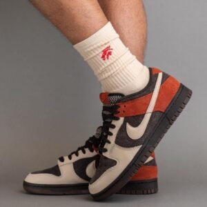 Nike Dunk Low Sneakers