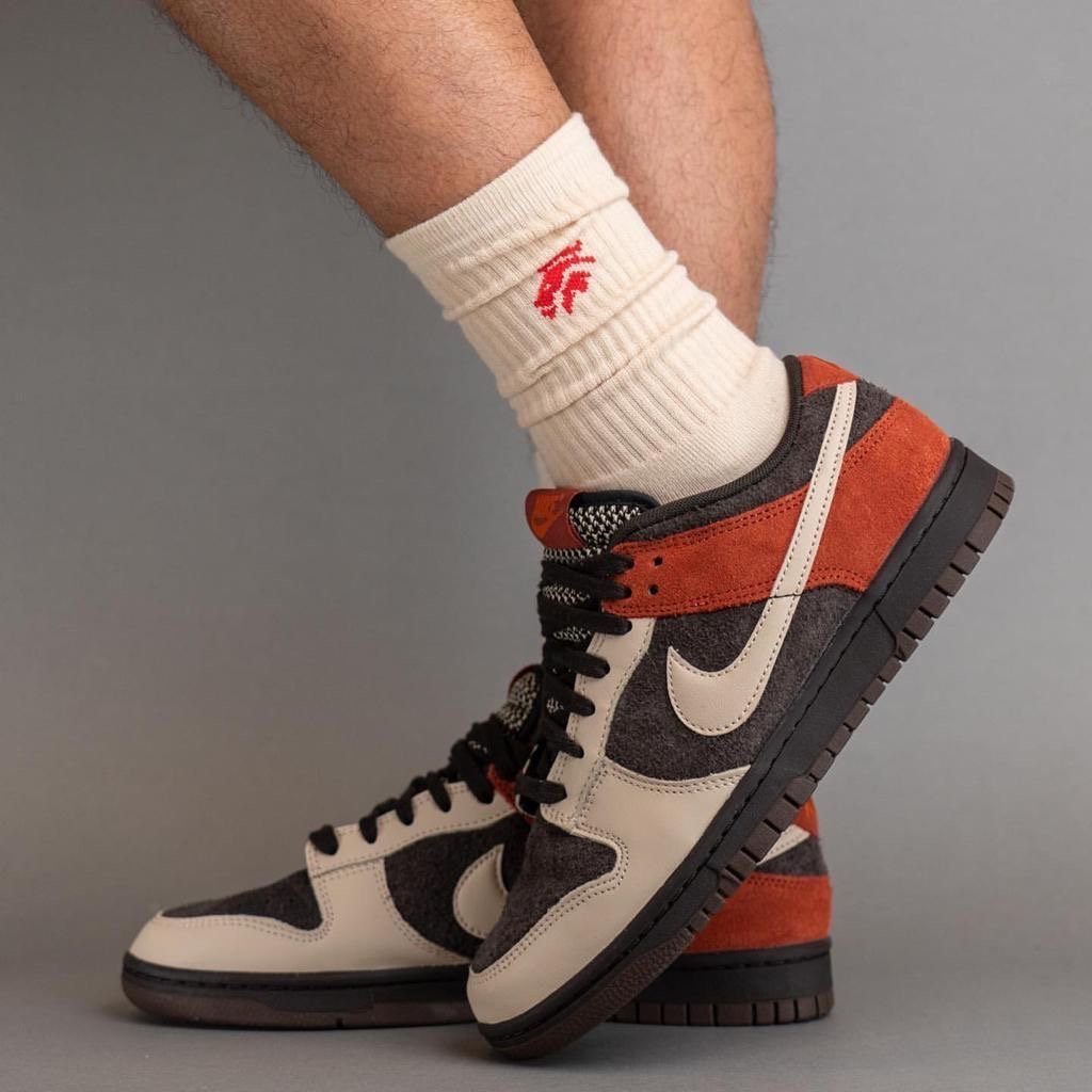 Nike Dunk Low Sneakers