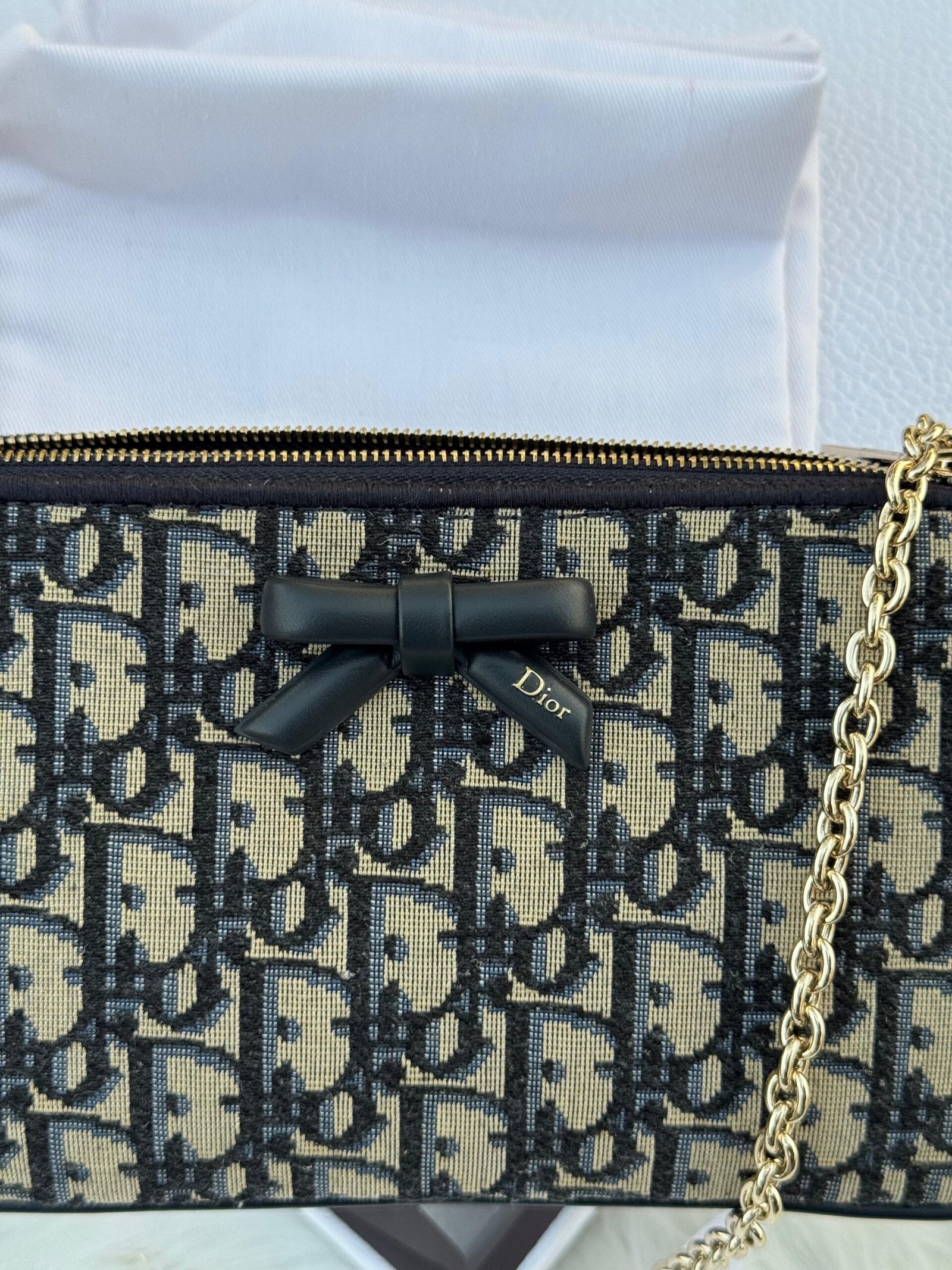 DIOR Promenade Pouch - Image 2