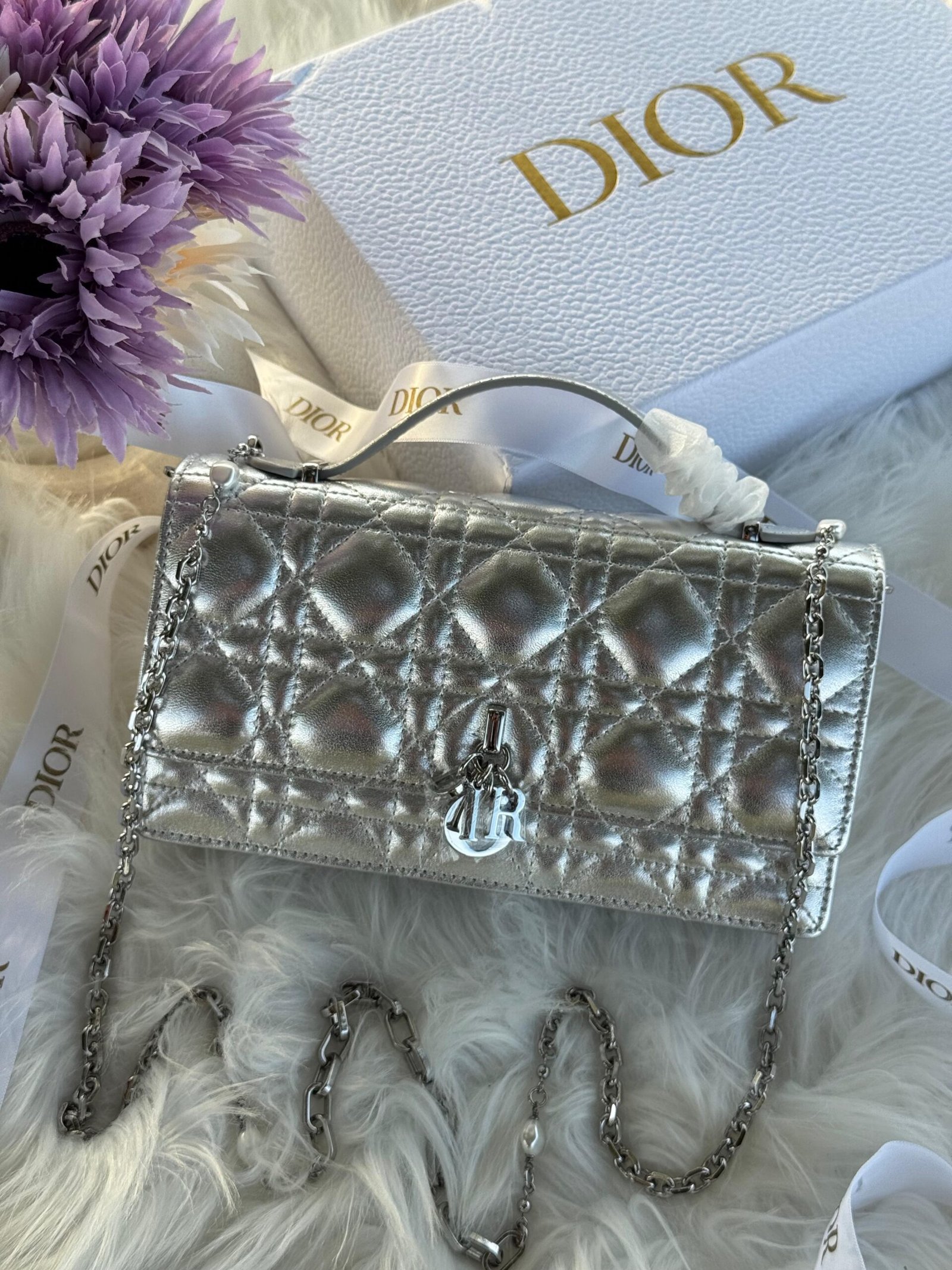 DIOR Mini Bag - Image 2