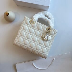 DIOR Lady D-Joy Bag