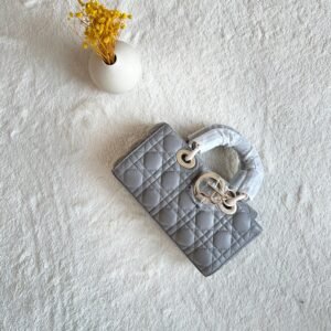 DIOR Mini Bag