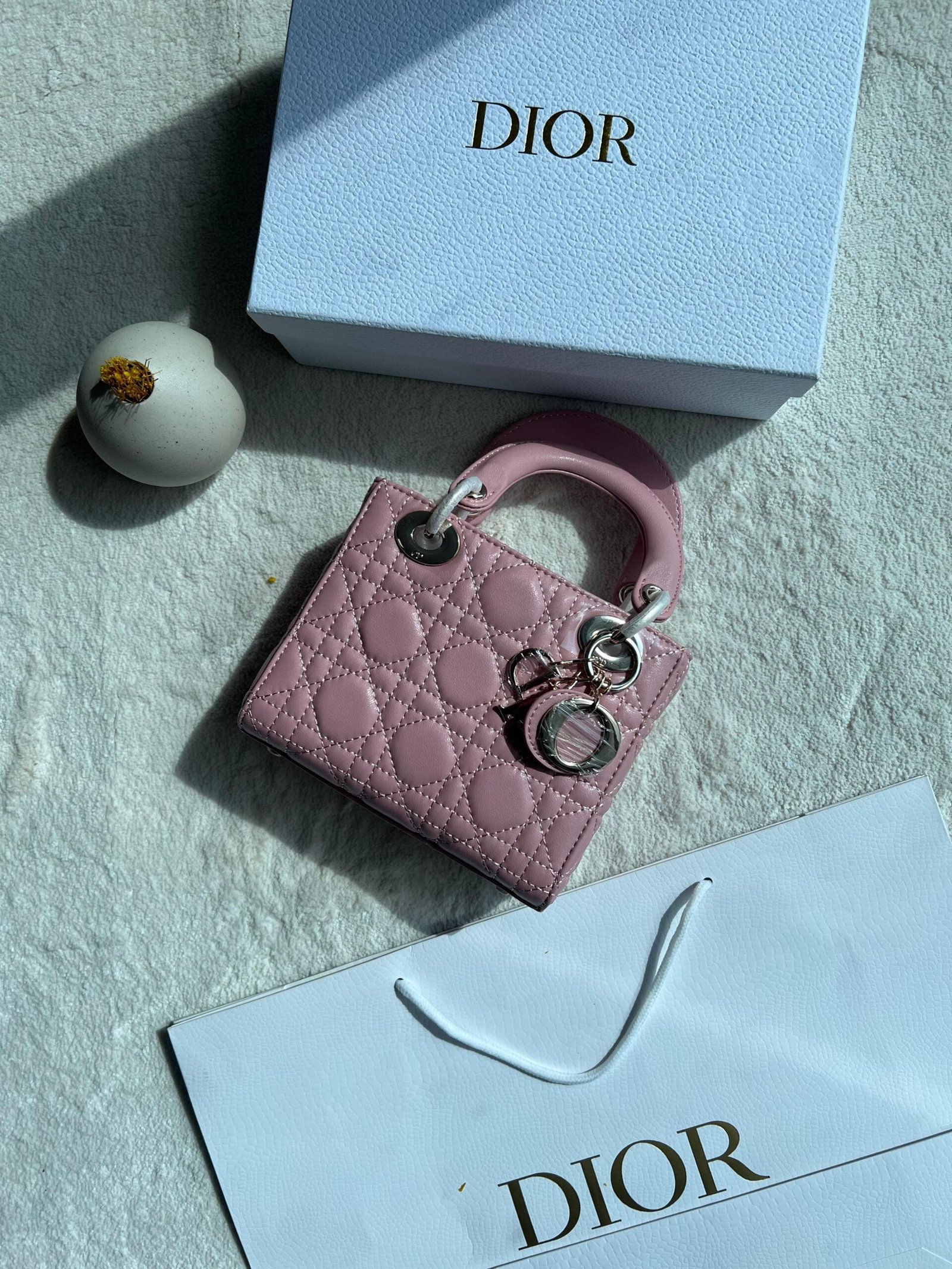 DIOR Mini Bag - Image 4