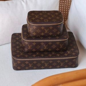 LOUIS VUITTON Packing Cube