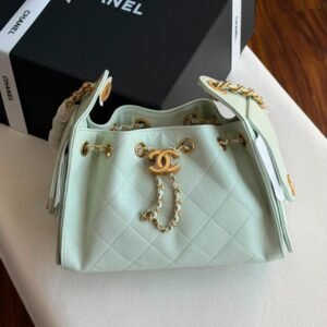 Buy Chanel 25 Small Hobo Bag Light Green Caviar Leather