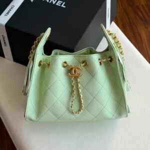 Buy Chanel 25 Small Hobo Bag Pastel Mint Green Caviar Leather